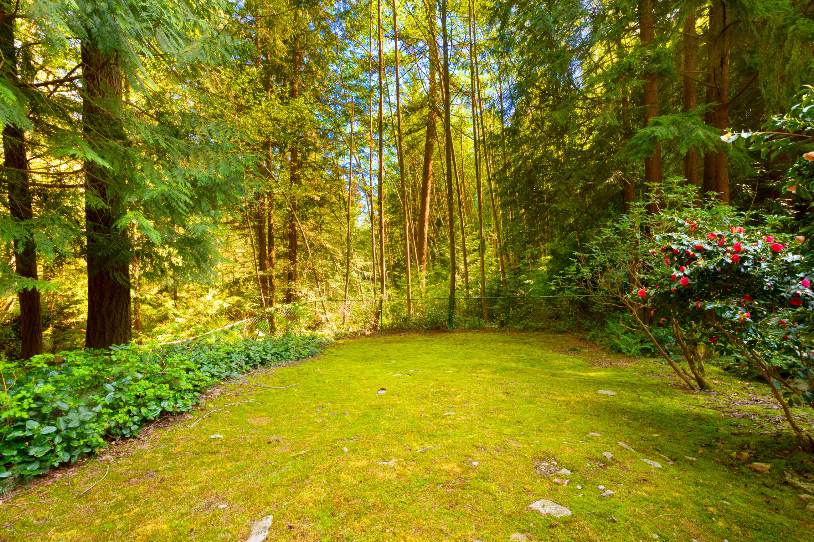 4228 Rockridge Crescent